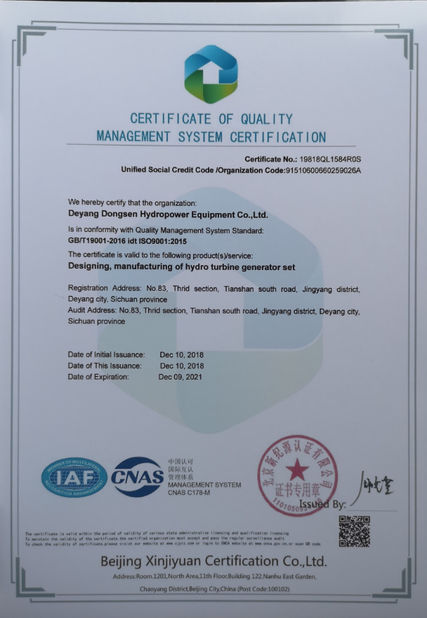 China Deyang Dongsen Hydropower Equipment Co., Ltd. certification