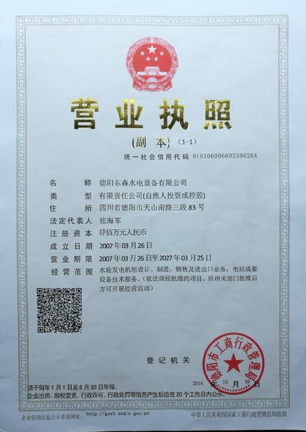 China Deyang Dongsen Hydropower Equipment Co., Ltd. certification
