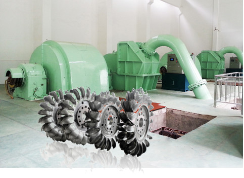 Rustproof Stainless Steel Pelton Turbine Generator For Hydropower Plant