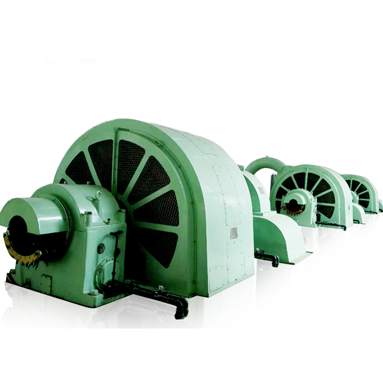 High Efficiency Water Turbine Generator Double Nozzle Pelton Turbin Units