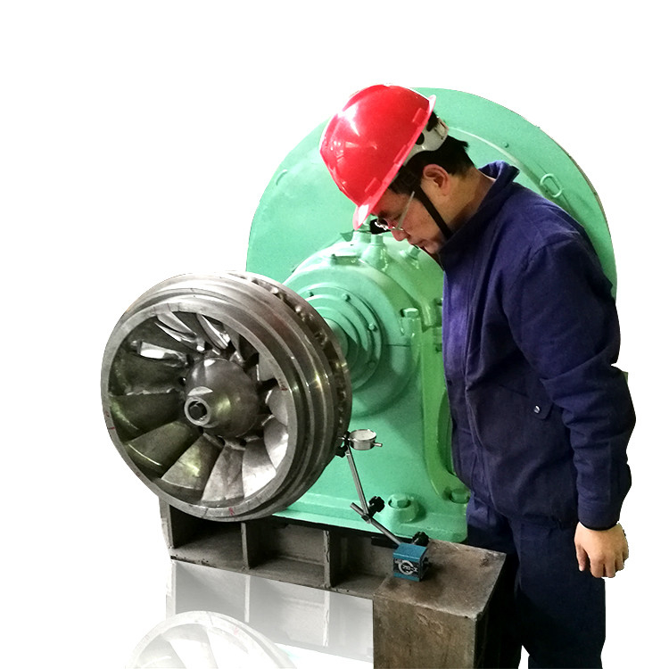 Customized Hydro Turbine Runner with Adjustable / Fixed Blade Angle