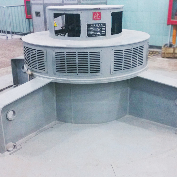 Customized Green Energy Generators Hydro Electrical Generator Water Turbine Stainless Steel
