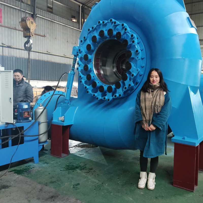 Reliable Water Turbine Generator For Various Speeds And Frequencies