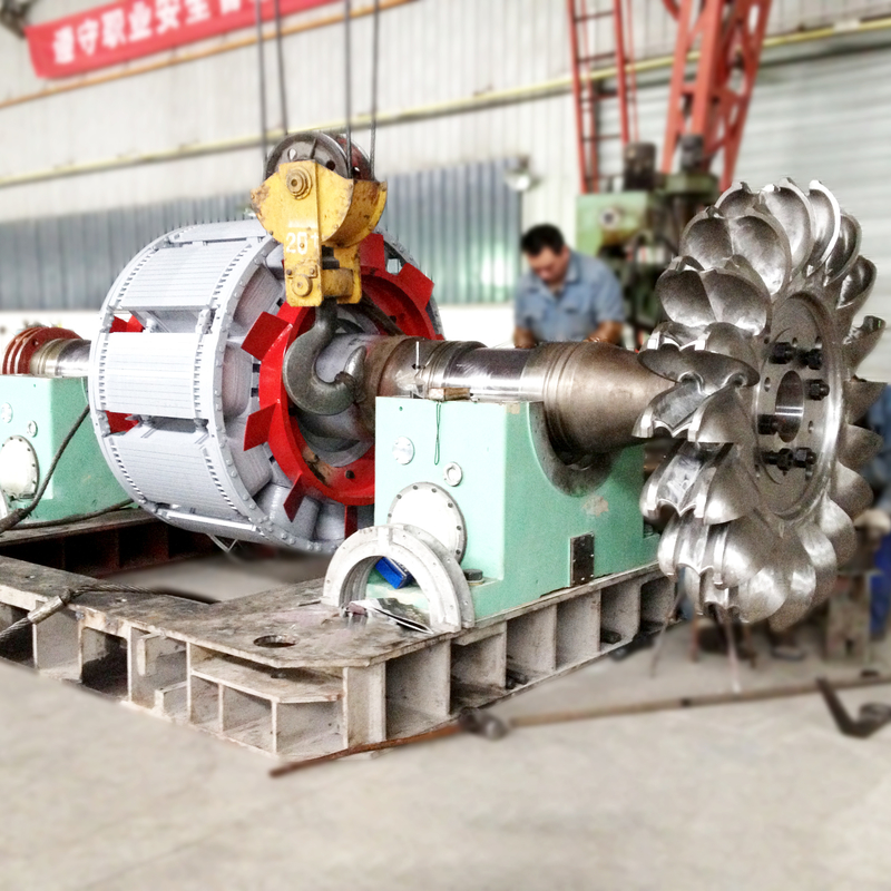 Oil Cooling Pelton Turbine Generator Pelton Turbine Power Generator With Cast Iron Body