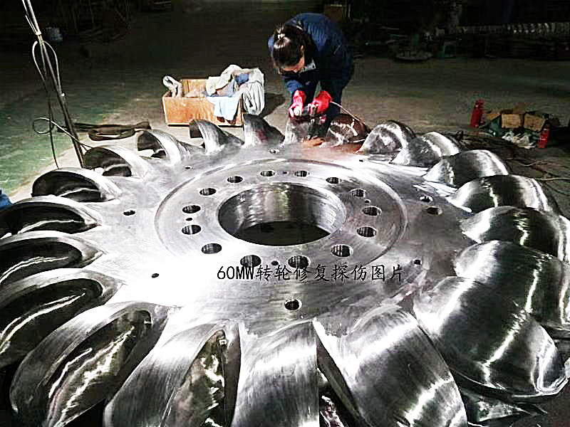 Voltage Brushless Pelton Turbine Power Generator IP54 Insulated Cast Iron / Stainless Steel