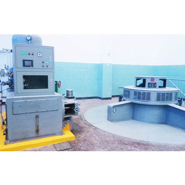 Permanent Magnet Synchronous Kaplan Hydro Turbine Generator 5-30m Head 50-60Hz Frequency