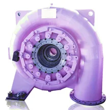 Stainless Steel Runner Material Francis Water Turbine Generator for 50Hz/60Hz Frequency