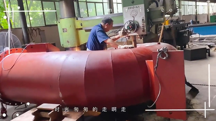 Vertical/Horizontal Installation Water Turbine Generator with 220V-690V Rated Voltage