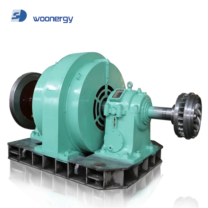 Vertical Brushless Water Turbine Generator 200kw-20mw Power Output Indoor/Outdoor Installation 50Hz/60Hz