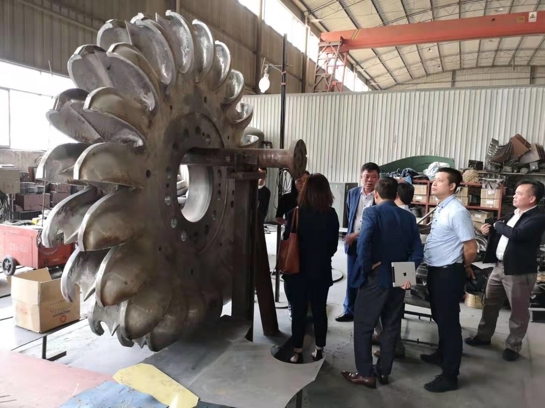 Oil Cooling Pelton Turbine Generator Pelton Turbine Power Generator With Cast Iron Body