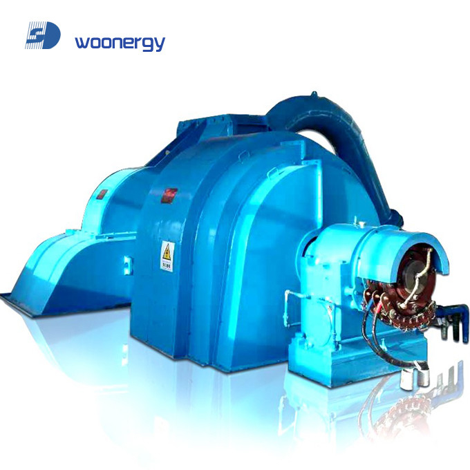 Head Impulse Turbine Generator IP54 Protection Grade 6-10kV Rated Voltage Cast Iron/Stainless Steel