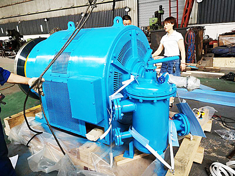 Adjustable Water Head Hydro Turbine Generator for Customized Power Output at 50/60Hz Frequency