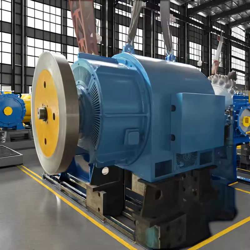 5T-50T Customized Pelton Turbine Generator with Air Oil Cooling and Thyristor Excitation