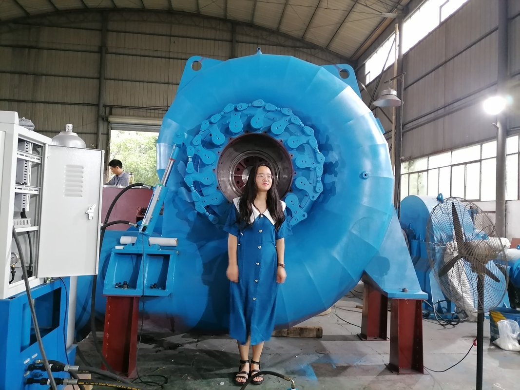 Customized Color Versatile Water Turbine Generator for Varied Power Needs