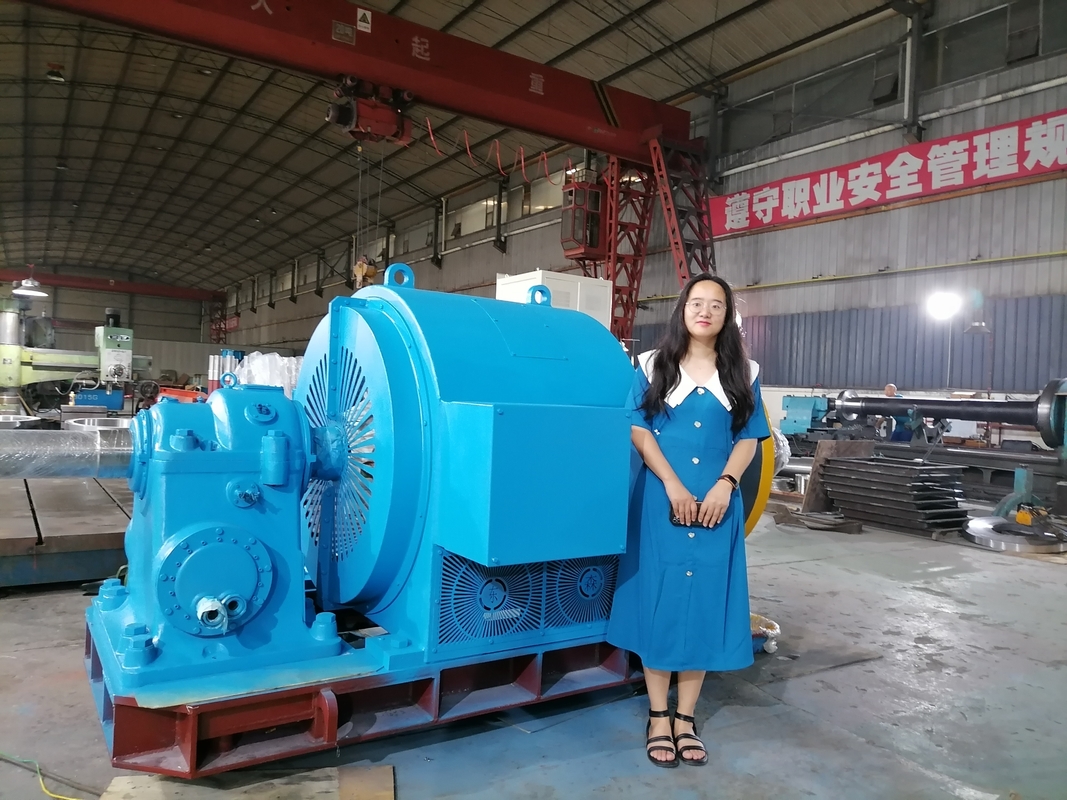 Full Automatic Control Horizontal Small Hydro Water Turbine Generator with Static Silicon Excitation