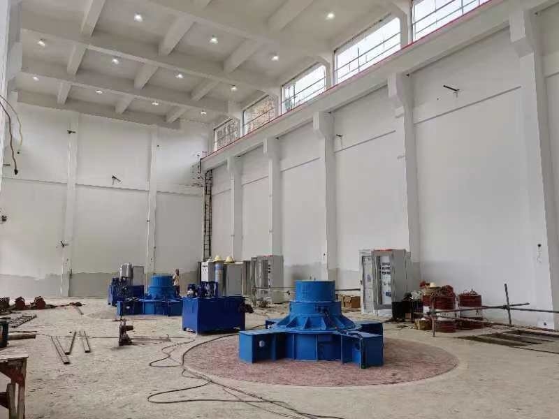 Customized Color Vertical Water Turbine Generator with Static Silicon Excitation Mode