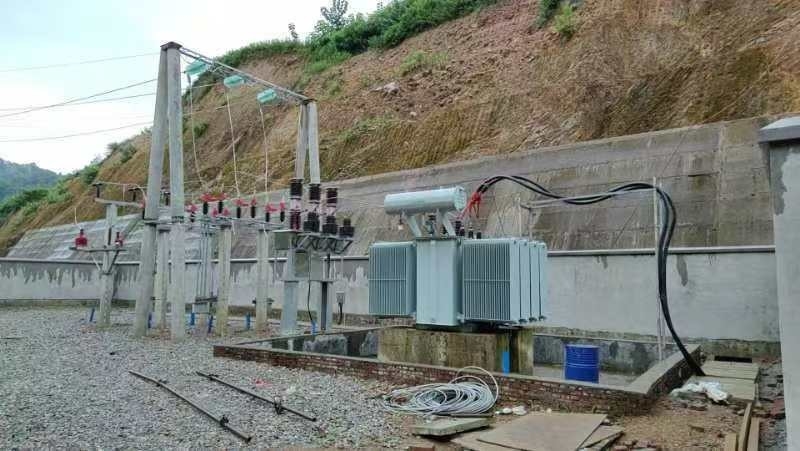 Customized Color Vertical Water Turbine Generator with Static Silicon Excitation Mode
