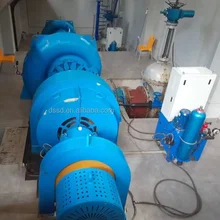 Customized Color Vertical Water Turbine Generator with Static Silicon Excitation Mode