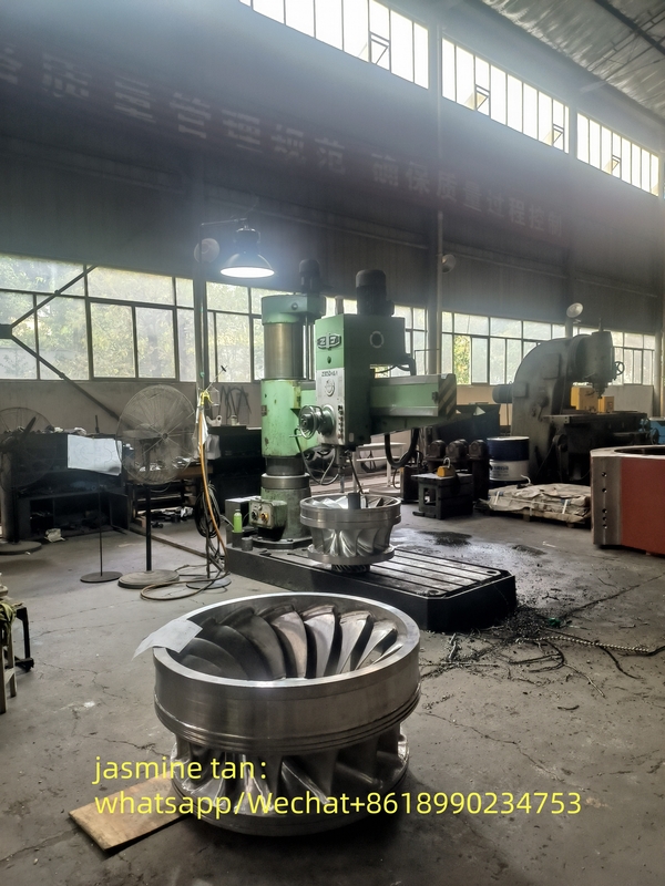 50Hz/60Hz Frequency Water Turbine Generator for Eco-Friendly Hydroelectric Power Production