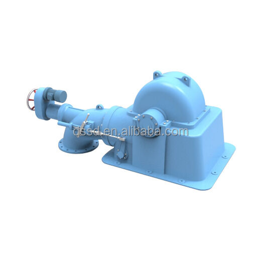 IP54 Protection Level Francis Turbine Generator Horizontal or Vertical Layout Pattern Suitable for Renewable Energy Solutions