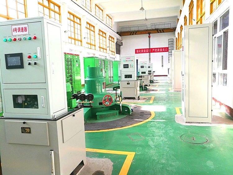 Stainless Steel Blades Kaplan Hydro Turbine Generator Generator Power 100 to 20MW Frequency 50Hz or 60Hz Suitable for Hydropower Energy Systems