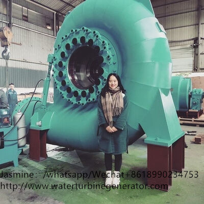 Customized Water Turbine Generator with 85% - 95% Efficiency and 200kw-20mw Power Output Featuring Automatic Voltage Regulator (AVR)