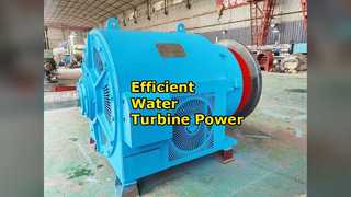 Air Cooled Water Turbine Generator AVR Power