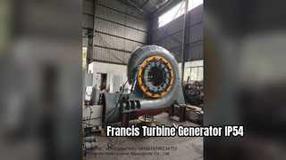 Francis Turbine Generator IP54 Horizontal Vertical