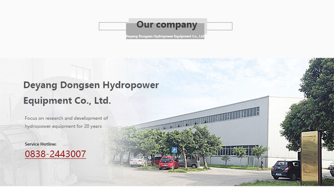 Deyang Dongsen Hydropower Equipment Co., Ltd. Company Profile